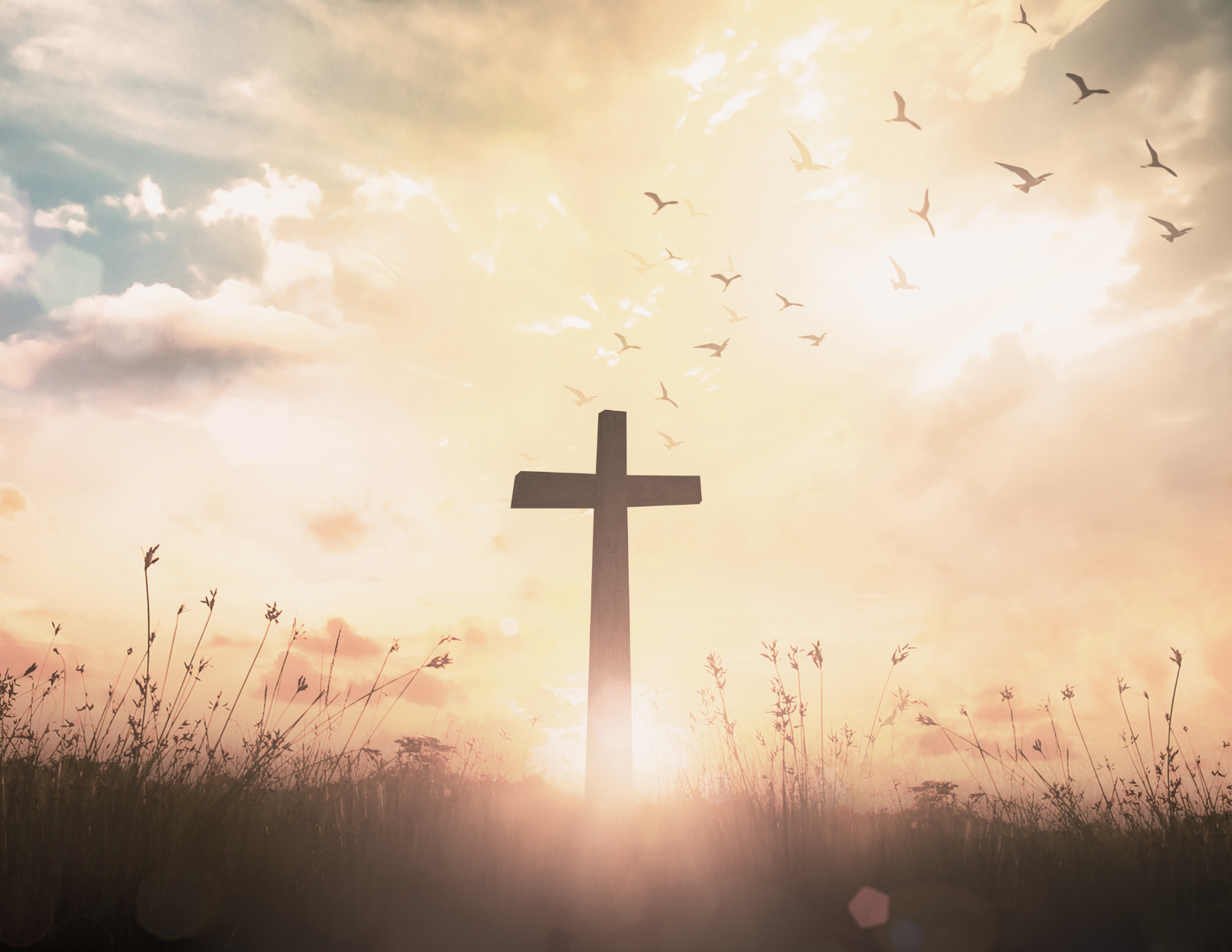 compassion-of-christ Why do we wrestle with god being god